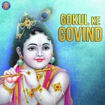 Aaj Biraj Me Sanjeevani Bhelande Song Download Mp3