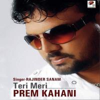 Vich Pardesan Rajinder Sanam Song Download Mp3