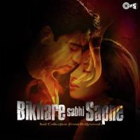 Tu Waaqif Nahin Meri Deewangi (From "Khiladiyon Ka Khiladi") Kumar Sanu,Sadhana Sargam Song Download Mp3