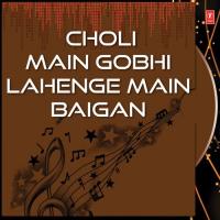 Hum Chumma Leke Jaayenge Munni Ketaki Wali Song Download Mp3