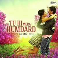 Dil Mein Hulchul Si (From "International Khiladi") Kumar Sanu,Alka Yagnik Song Download Mp3