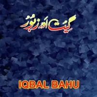 Tarke Mein Tenu Dhoondan Iqbal Bahu Song Download Mp3