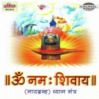 Om Namah Shivay Part-2 Sanjayraj Gaurinandan,Vidula Song Download Mp3