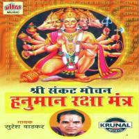 Jay Bajrangi Sankat Mere Haro Suresh Wadkar Song Download Mp3