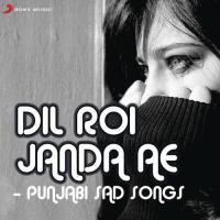 Yug Beet Gaye (From "Ho Jayegi Balle Balle") Daler Mehndi Song Download Mp3