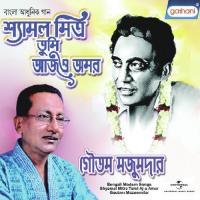 Tomay Peyeo Abar Gautam Mazoomder Song Download Mp3