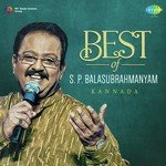 Snehada Kadalalli(From "Shubha Mangala") S.P. Balasubrahmanyam Song Download Mp3