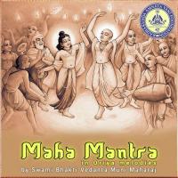 Maha Mantra, Pt. 3 Swami Bhakti Vedanta Muni Maharaj Song Download Mp3