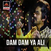 Dam Dam Ya Ali Ali Haider Rizvi Song Download Mp3