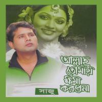 Bidhe Amar Saju Song Download Mp3