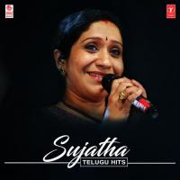 Swathi Chinuka (From "Anaganaga O Ammayee") Udit Narayan,Sujatha Mohan Song Download Mp3