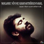 Solomanum Shoshannayum Preeti Pillai,Shreekumar Vakkiyil Song Download Mp3