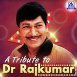 Baaligu Bhoomigu (From "Chira Bhandhavya") Dr. Rajkumar Song Download Mp3