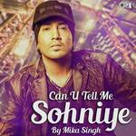 Marge Sohniye (From "Something Something") Mika Singh Song Download Mp3