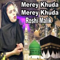 Moula Mera Ve Ghar Howay Roshi Malik Song Download Mp3