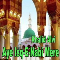 Hamary Nabi Hain Khalid Alvi Song Download Mp3