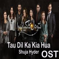 Tau Dil Ka Kia Hua Shuja Hyder Song Download Mp3