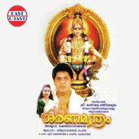 Swami Saranam Saranam Biju Narayanan Song Download Mp3