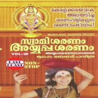 Swamiye Saranamayyappa Baby Pavithra Song Download Mp3