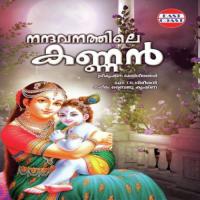 Karmukil Varnan Sachin Song Download Mp3