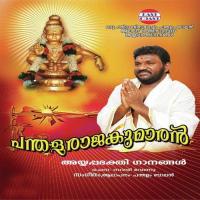 Nombunottittu Pandalam Balan Song Download Mp3