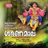 Astadravya Priyanay-slokam Ajay Thilak Song Download Mp3