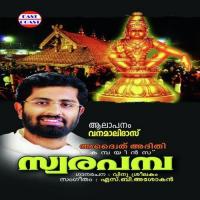 Swamiye Puliyude Vanamali Das Song Download Mp3