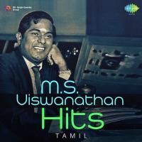 Dhaagathakku Thannikudichen (From "Neelakadal Orathile") M.S. Viswanathan Song Download Mp3