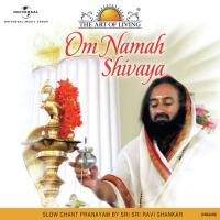 Om Namah Shivaya (English Version) Sri Sri Ravi Shankar Song Download Mp3