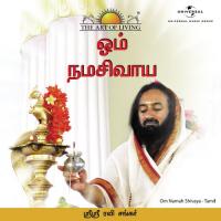 Om Namah Shivaya (Tamil Version) Sri Sri Ravi Shankar Song Download Mp3