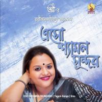 Badol Baul Sree Song Download Mp3