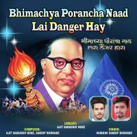 Bhimachya Porancha Naad Lai Danger Hay Vaibhav Bohrade Song Download Mp3