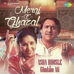 Hairaton Ke Silsile Soz-E-Nehan Tak Aa Gaye Asha Bhosle Song Download Mp3