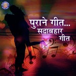 Hum Pyar Tumhi Se Kar Baithe Alka Yagnik,Saurabh P. Srivastav Song Download Mp3