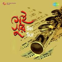 Premer Nadit Mala Sarkar Song Download Mp3