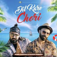 Dil Kare Chori Rahim Pardesi,Aqeel Sarfraz Song Download Mp3