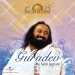 Joy Gurudev (Instrumental) Sahil Jagtiani Song Download Mp3