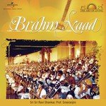 Naad Brahm Sri Sri Ravi Shankar Song Download Mp3