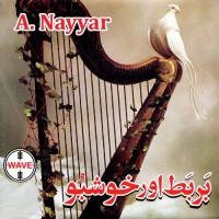 Mange Ga Jo Us Ko Dia Jaye Ga A. Nayyar Song Download Mp3