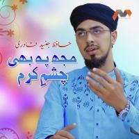 Mujh Pe Bhi Chashm E Qaram Hafiz Junaid Qadri Song Download Mp3