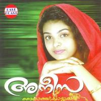 Kannil Kannil Rahna Song Download Mp3