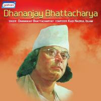 Agoon Laglo Ghare Dhananjay Bhattacharyay Song Download Mp3