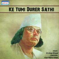 Bau Katha Kao Dr. Anup Ghosal Song Download Mp3