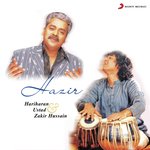 Koi Saya Zilmil Ustad Zakir Hussain Song Download Mp3