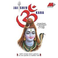 Arti Jai Shiv Omkara Anurag Sharan,Suchitra Bhagwat Song Download Mp3