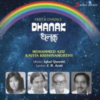 Pehle Hi Batlaya (Haara Senani) Mohammed Aziz Song Download Mp3