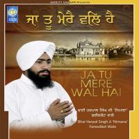 Har Jan Simrahu Bhai Harpal Singh Ji Nimana Fareedkot Wale Song Download Mp3