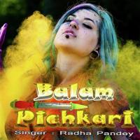 Jogira Radha Pandey Song Download Mp3