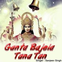 Jhula Jhulaeli Sato Bahiniya Sanjeev Singh Song Download Mp3