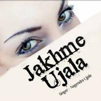 Chahni Jekra Ke Bewafa Ho Gail Nagendra Ujala Song Download Mp3